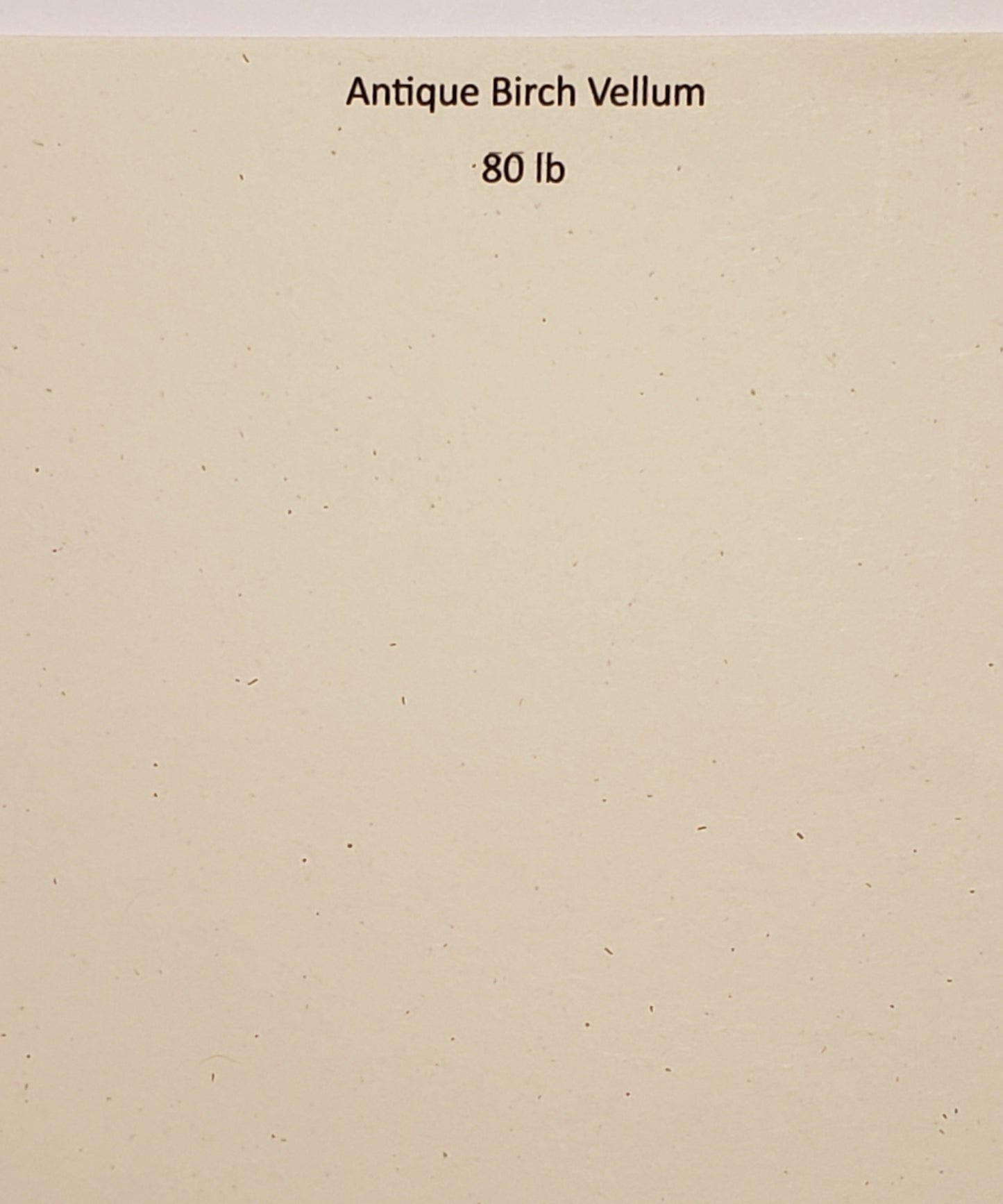 Antique Birch Vellum - 80 lb: 8x10 Journal