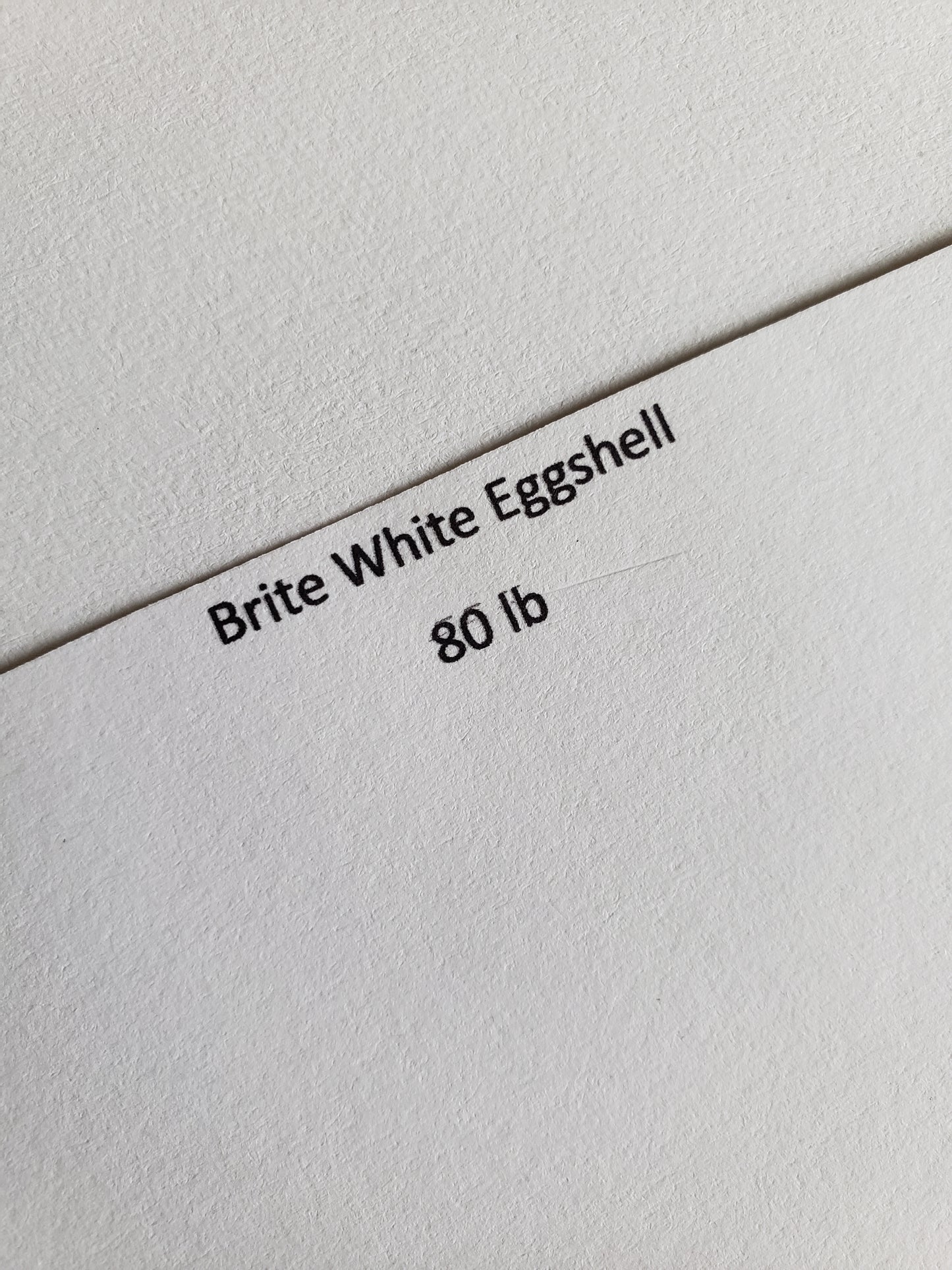 Brite White Eggshell 8x10 Journal