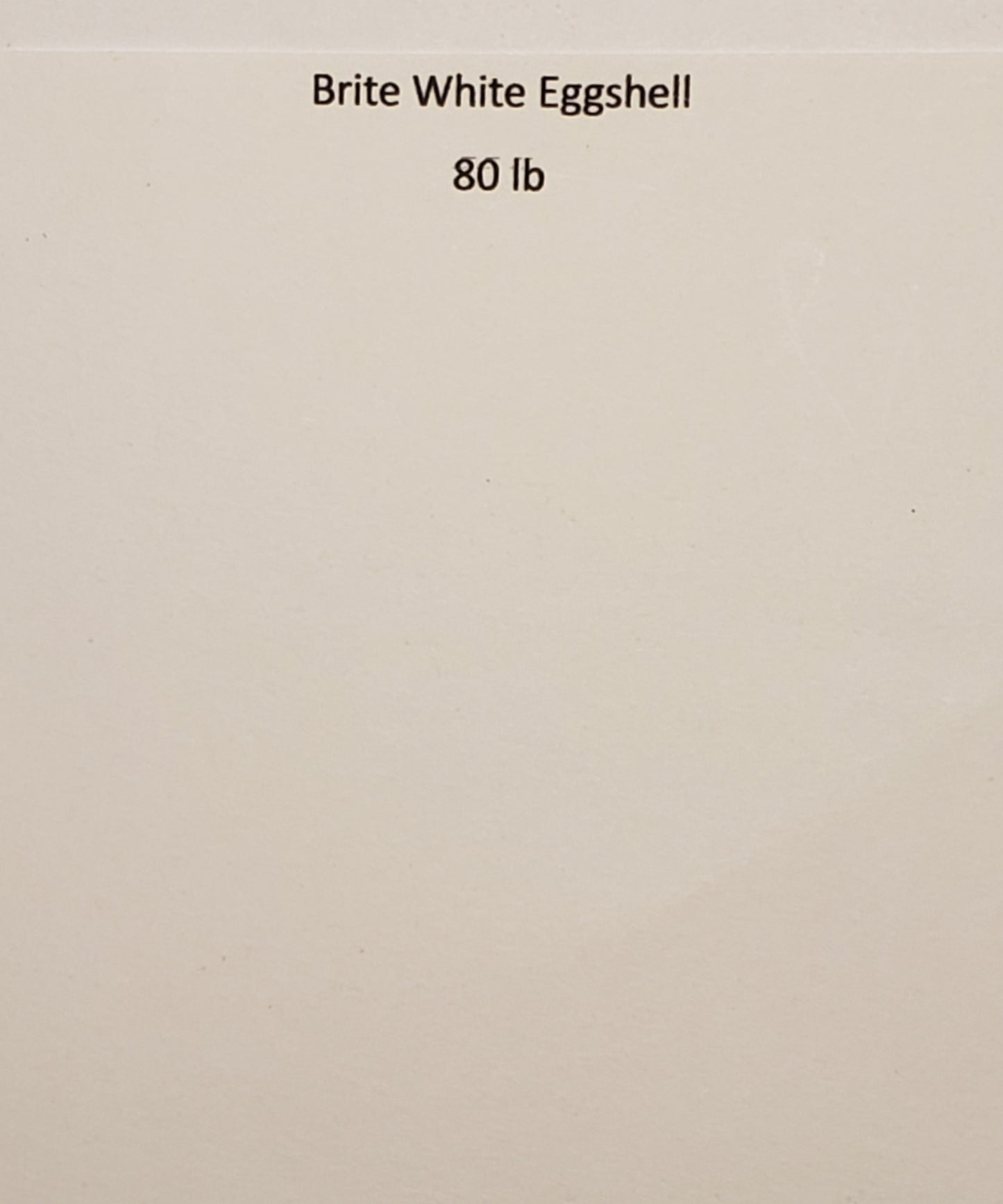 Brite White Eggshell 8x10 Journal