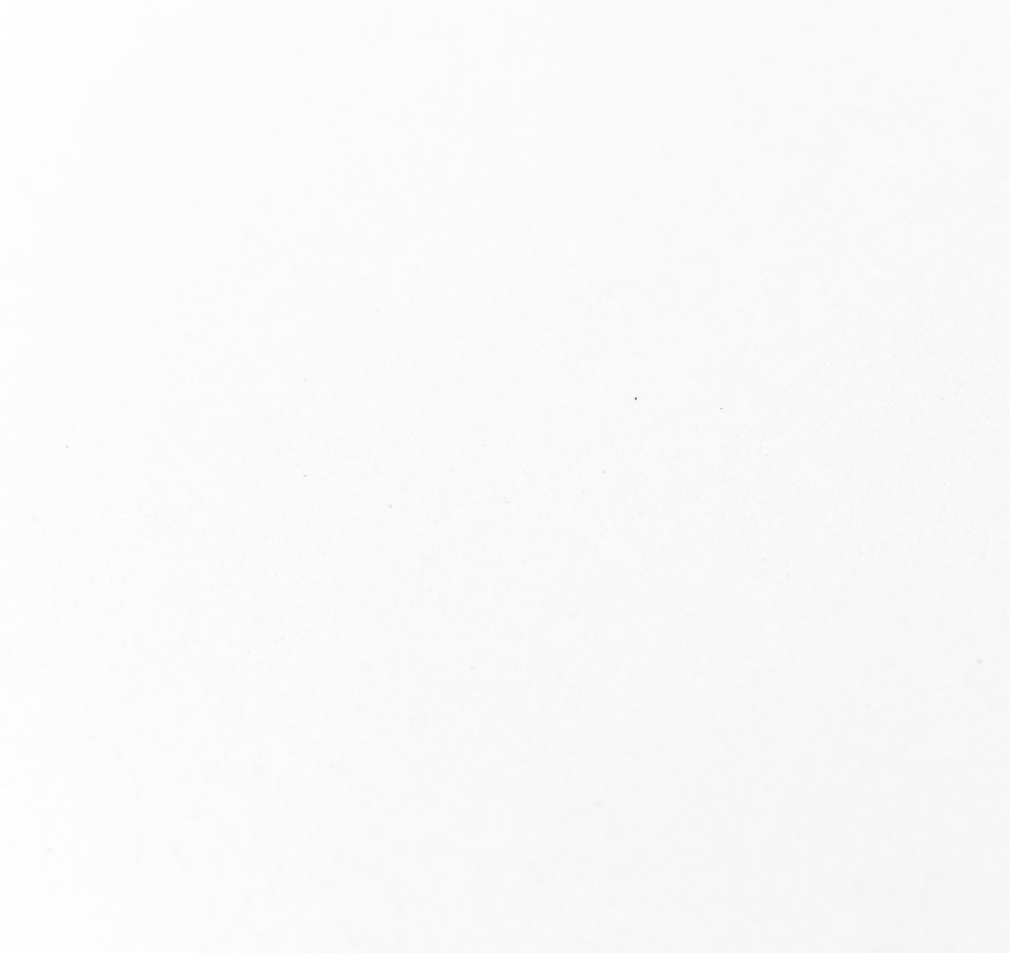 Cool White Vellum 8x10 Journal