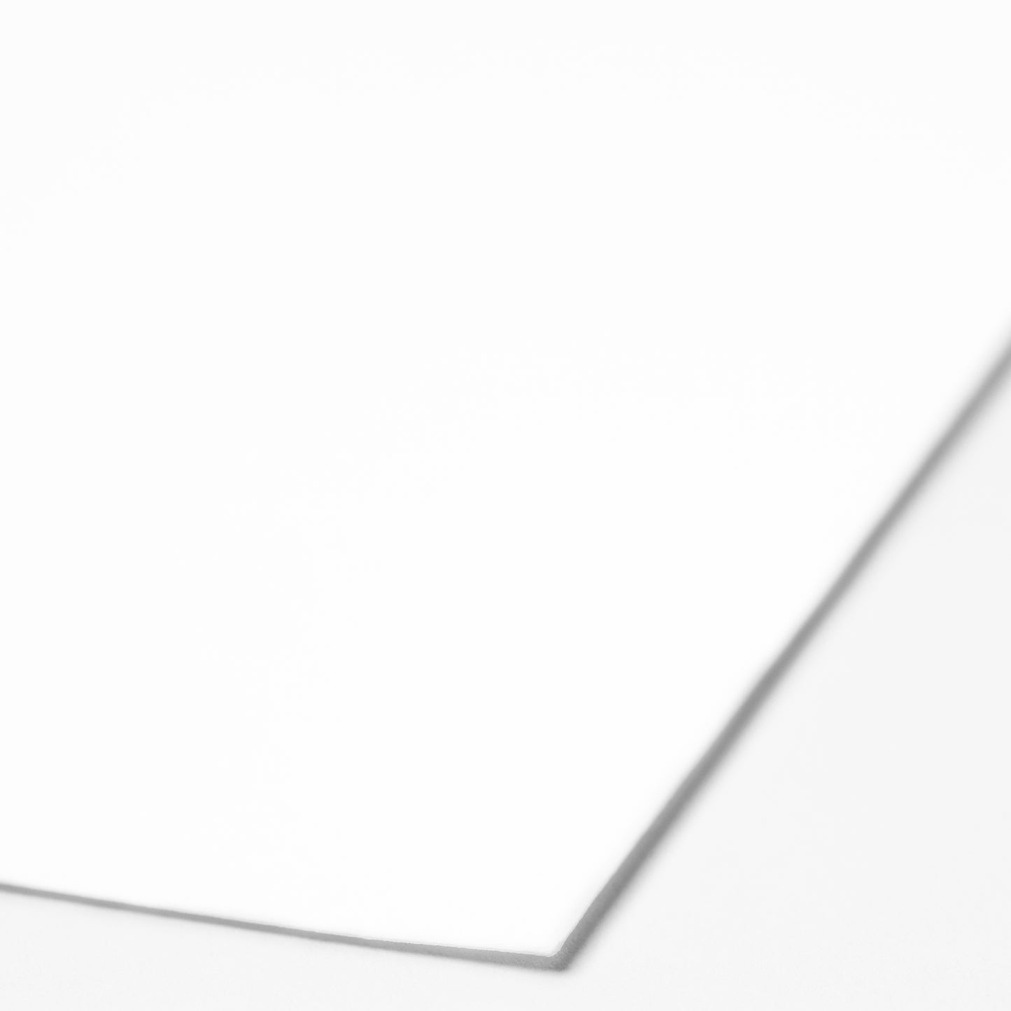 Cool White Vellum 8x10 Journal