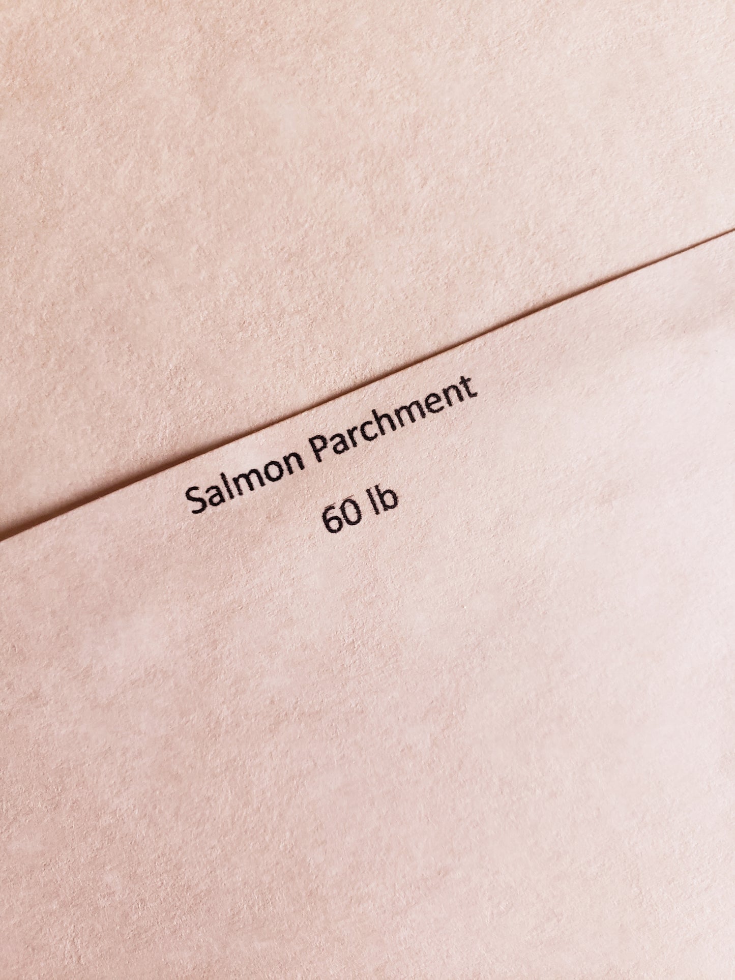 Salmon Parchment - 60 lb: 8x10 Journal