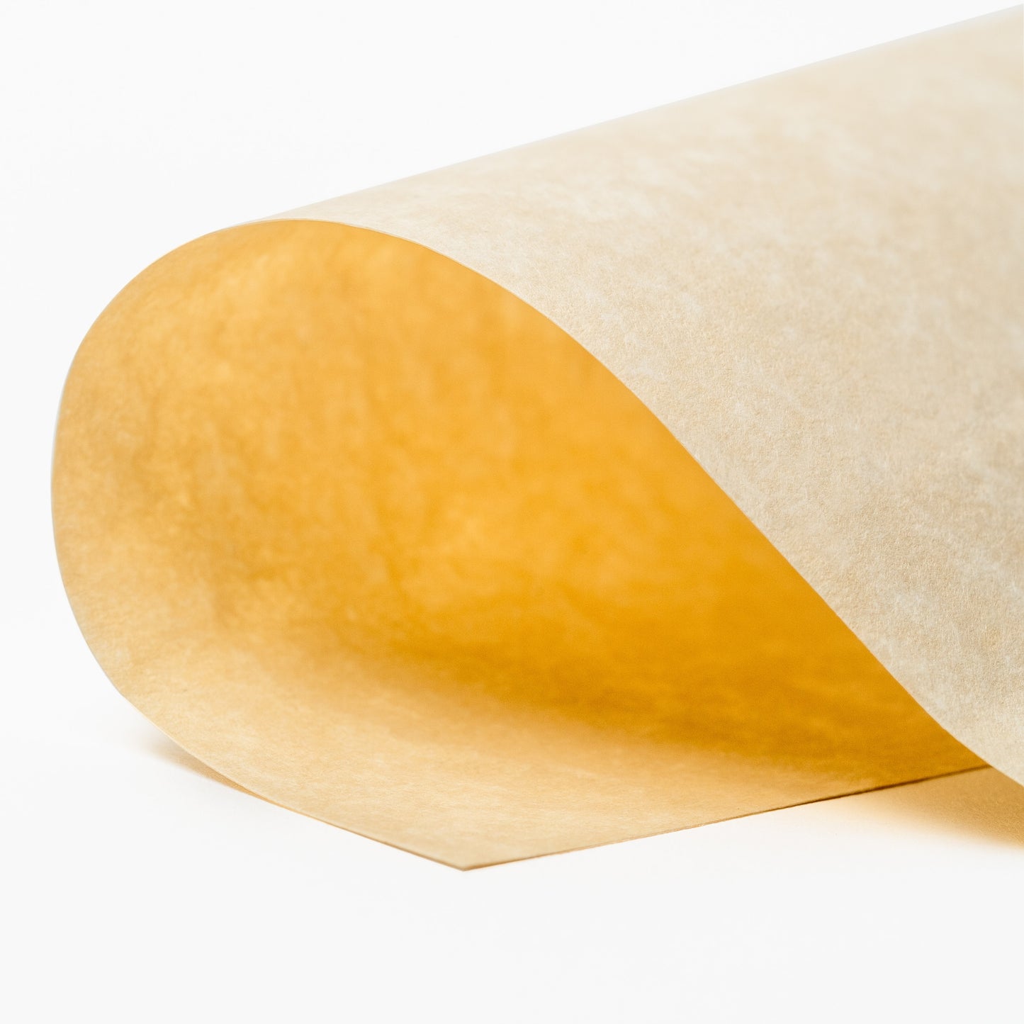 Aged Parchment 8x10 Journal