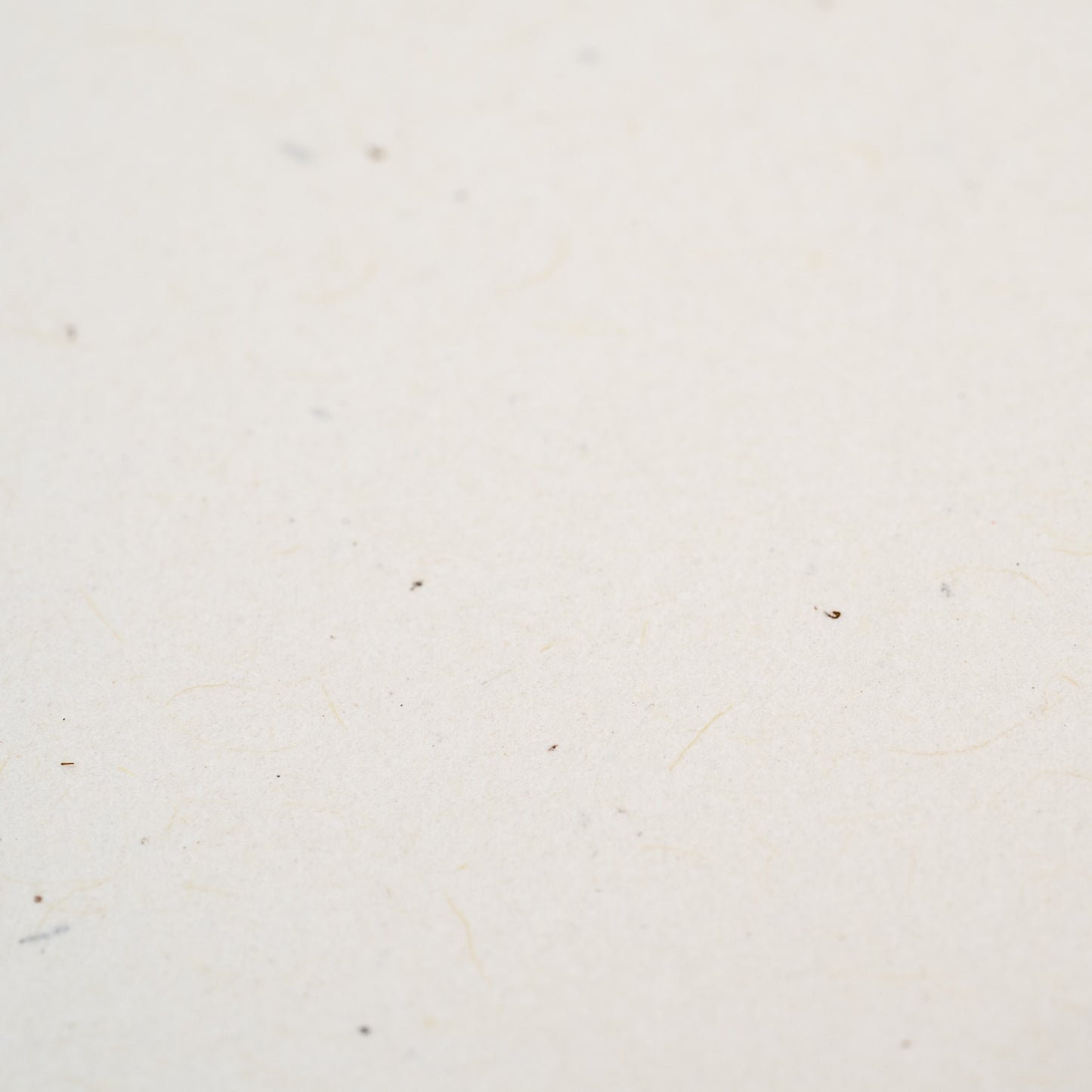 Antique Birch Vellum 8x10 Journal