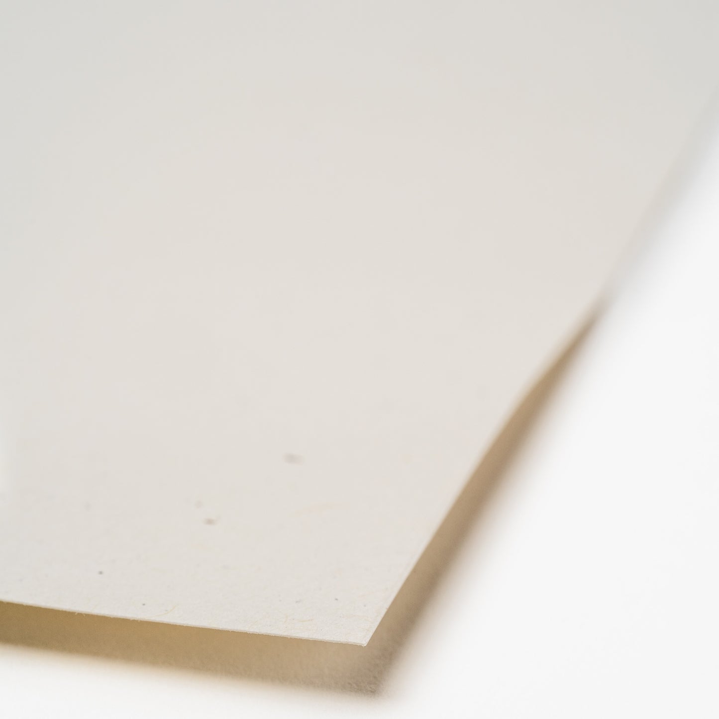 Antique Birch Vellum 8x10 Journal