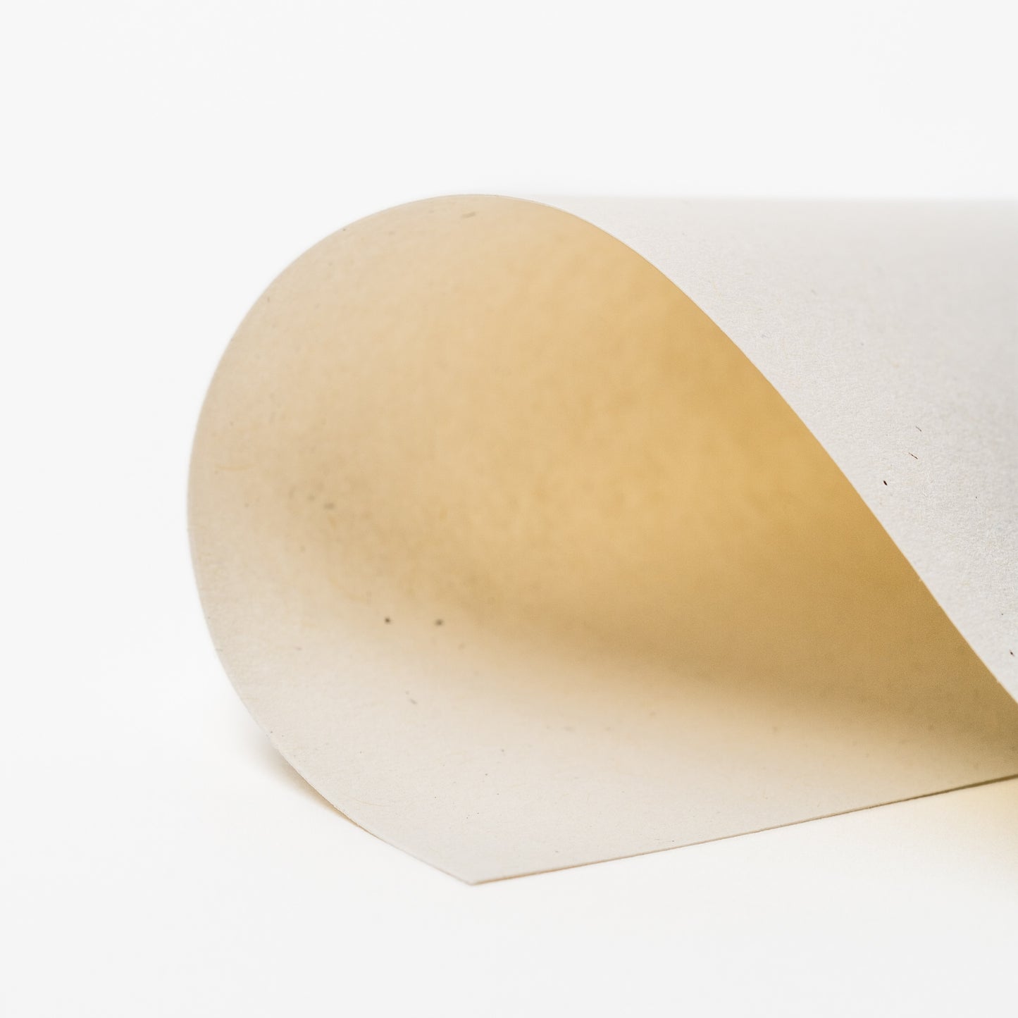 Antique Birch Vellum 8x10 Journal