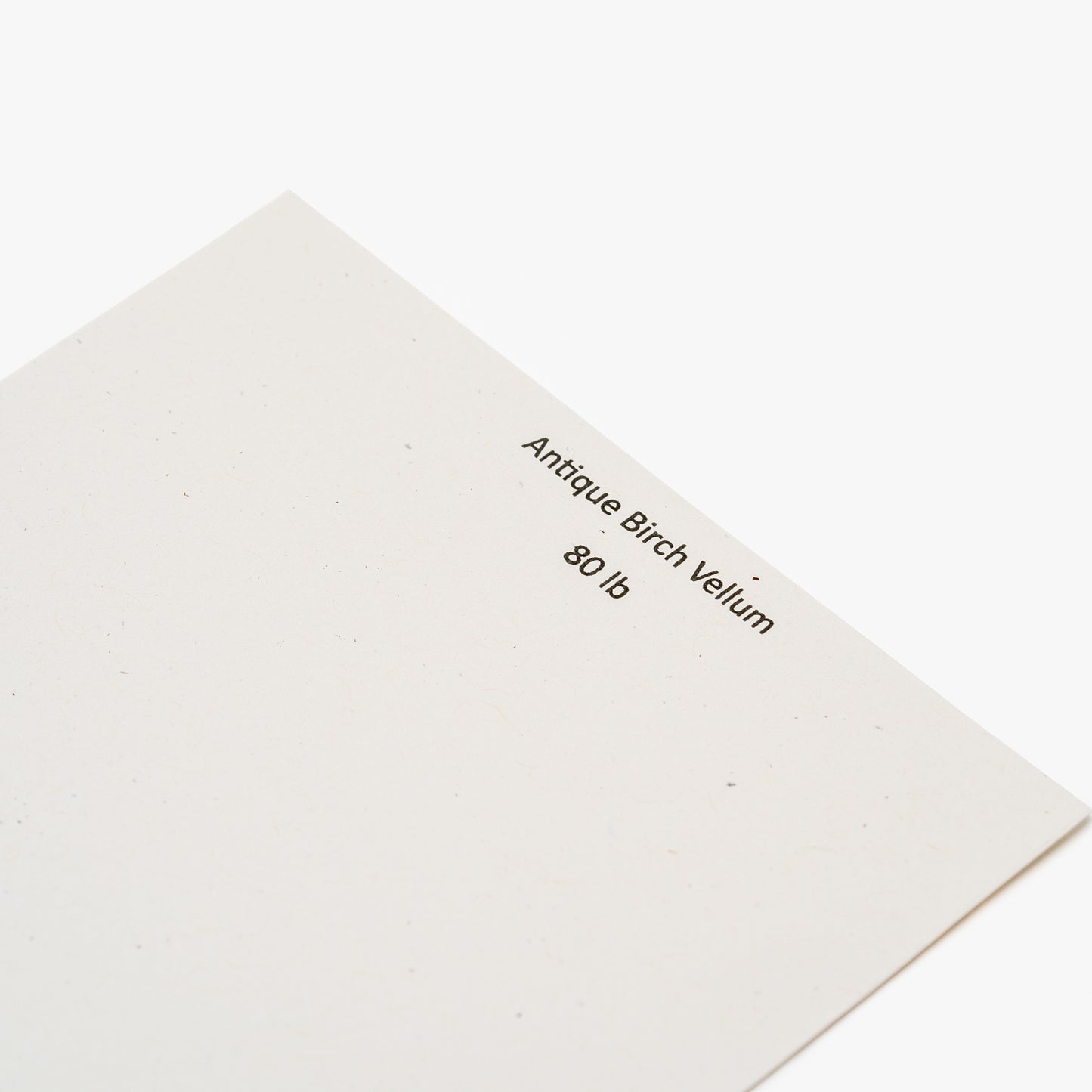 Antique Birch Vellum 8x10 Journal