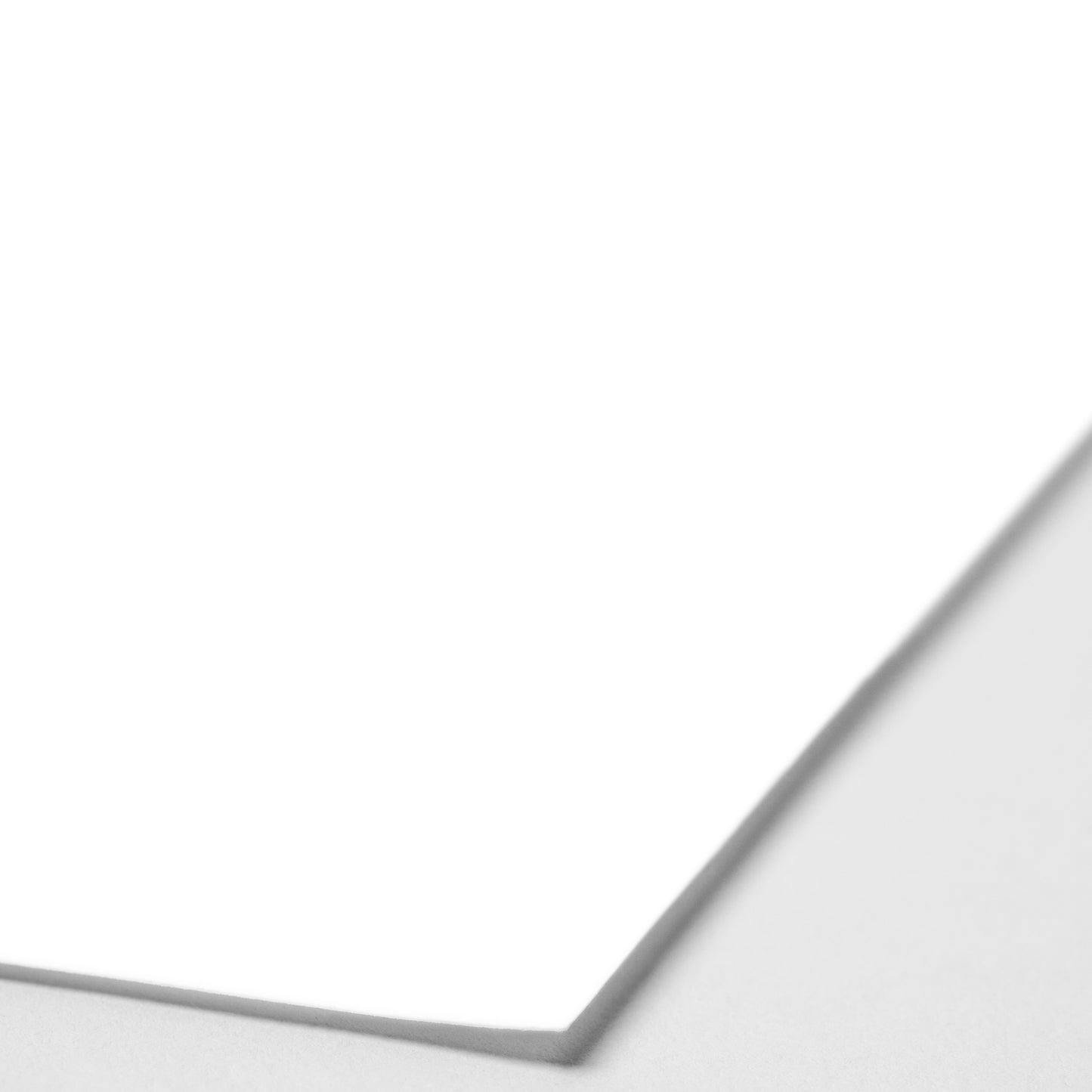 Brite White Eggshell 8x10 Journal