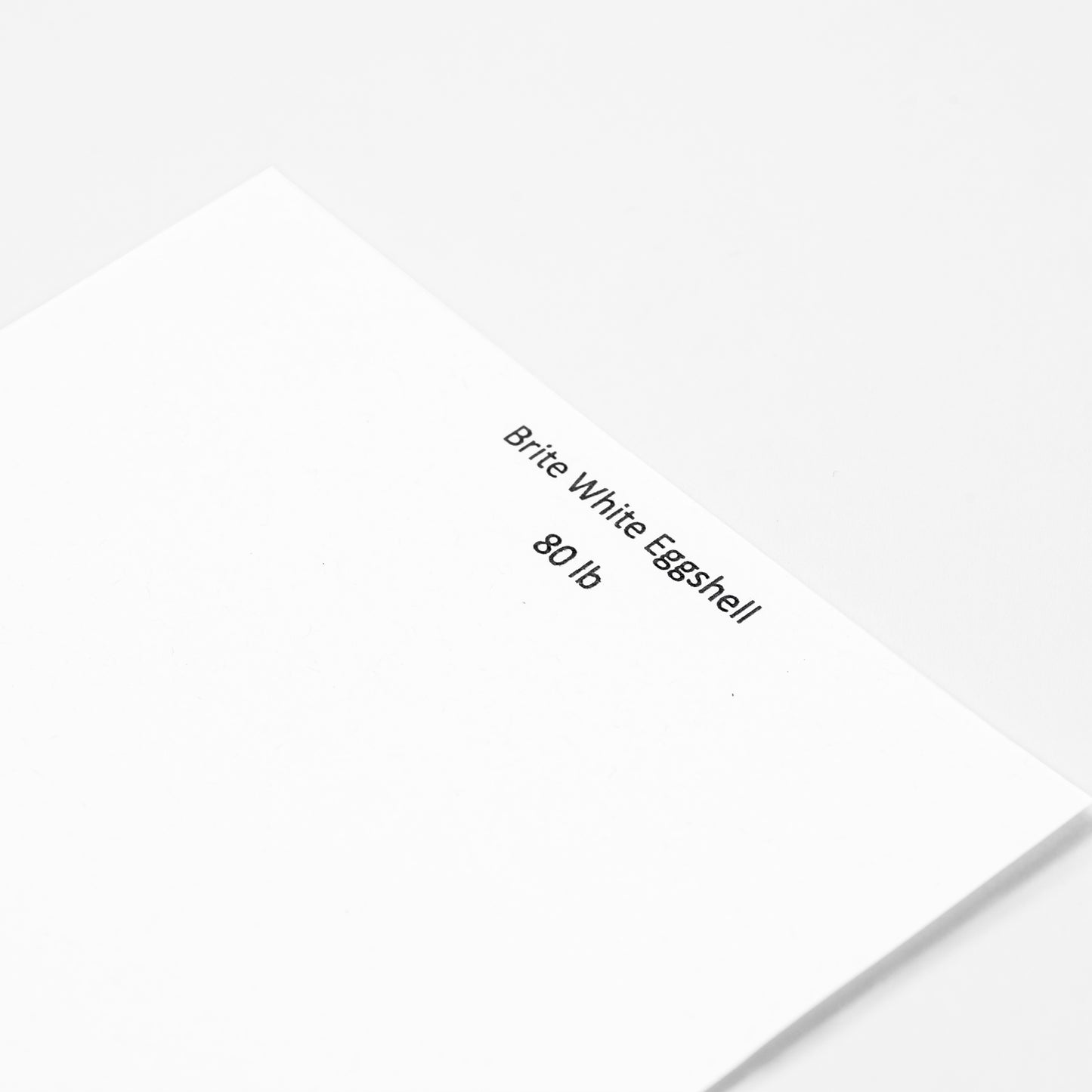 Brite White Eggshell 8x10 Journal