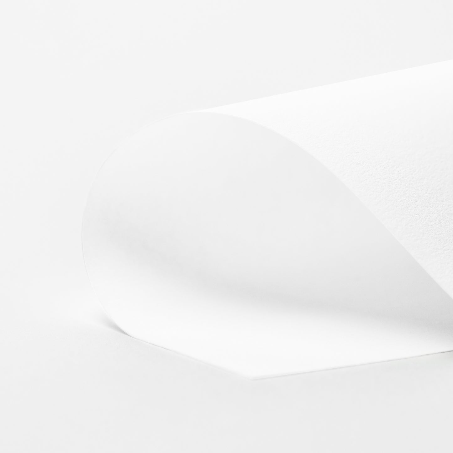 Cool White Vellum 8x10 Journal