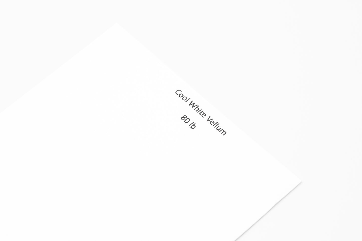 Cool White Vellum 8x10 Journal