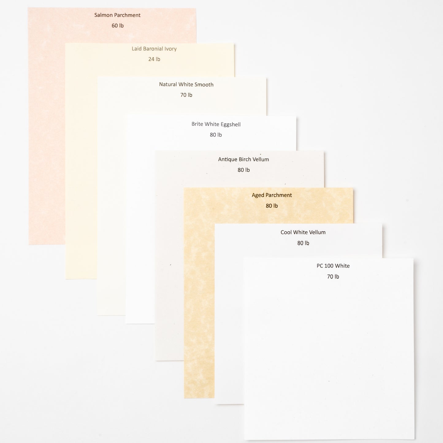 Cool White Vellum 8x10 Journal