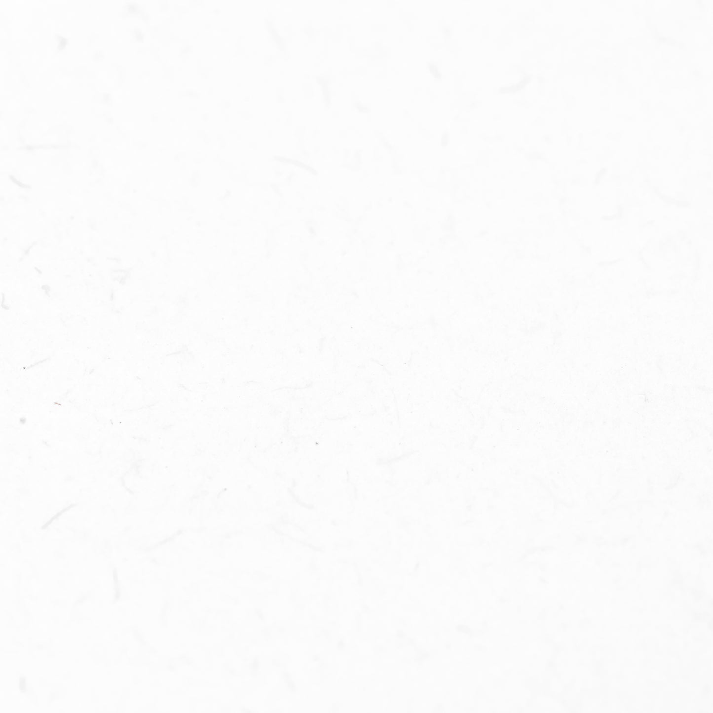 PC 100 White 8x10 Journal