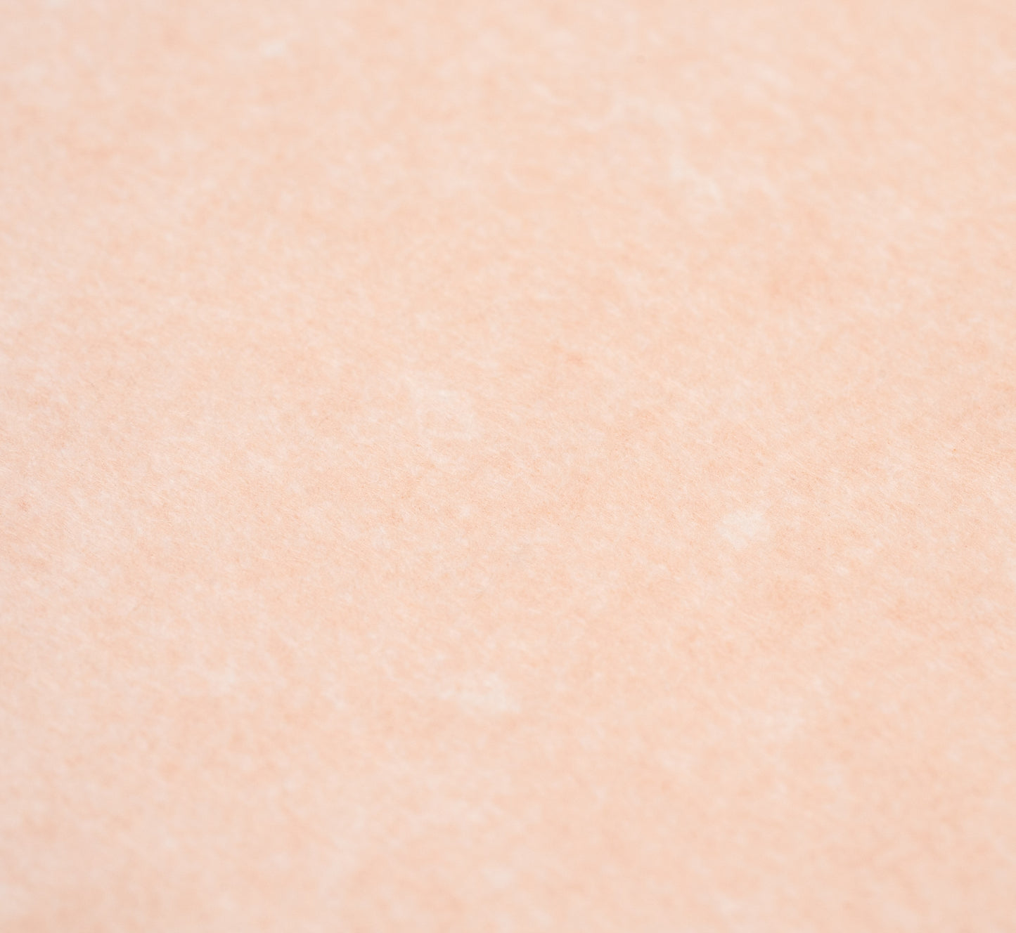 Salmon Parchment 8x10 Journal