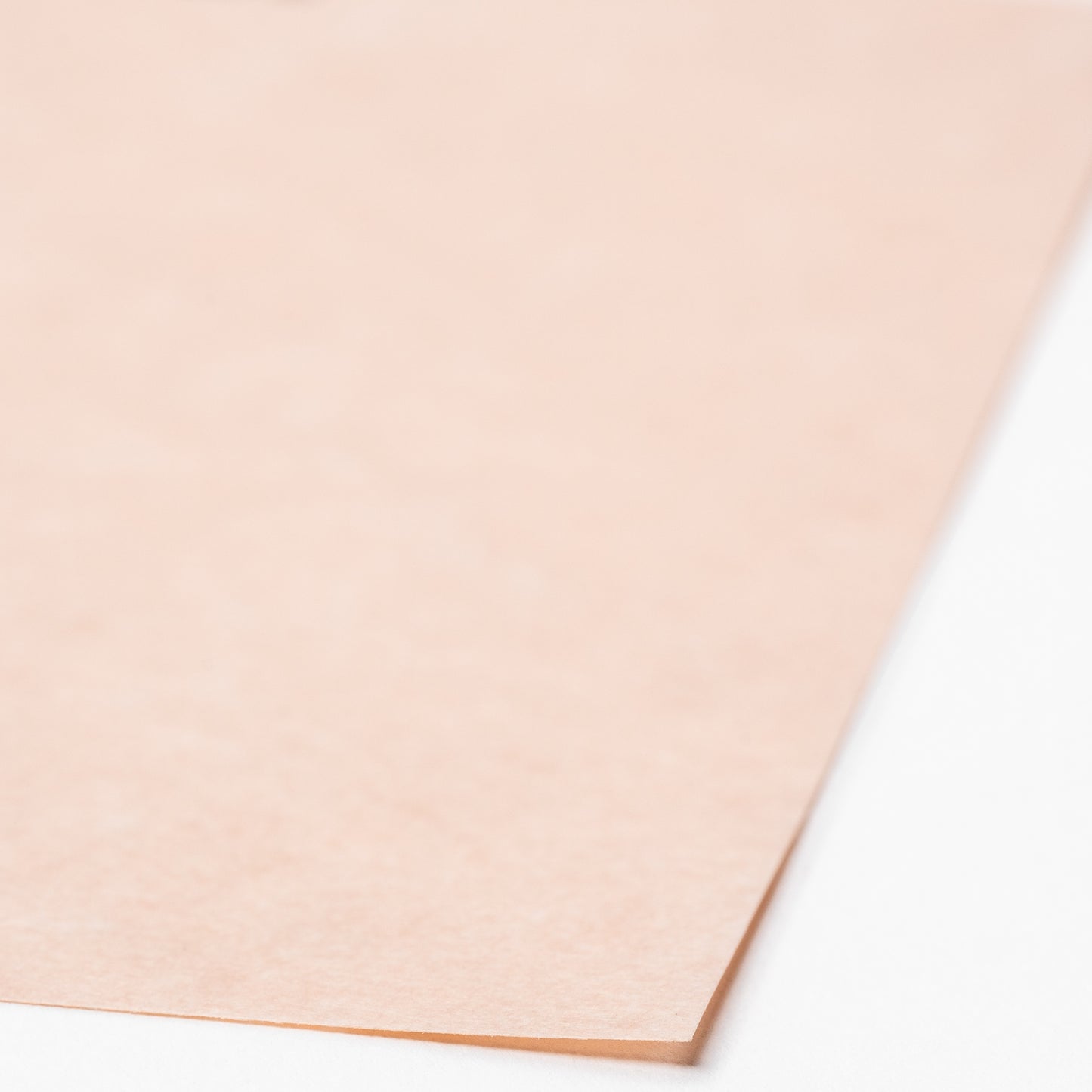 Salmon Parchment 8x10 Journal