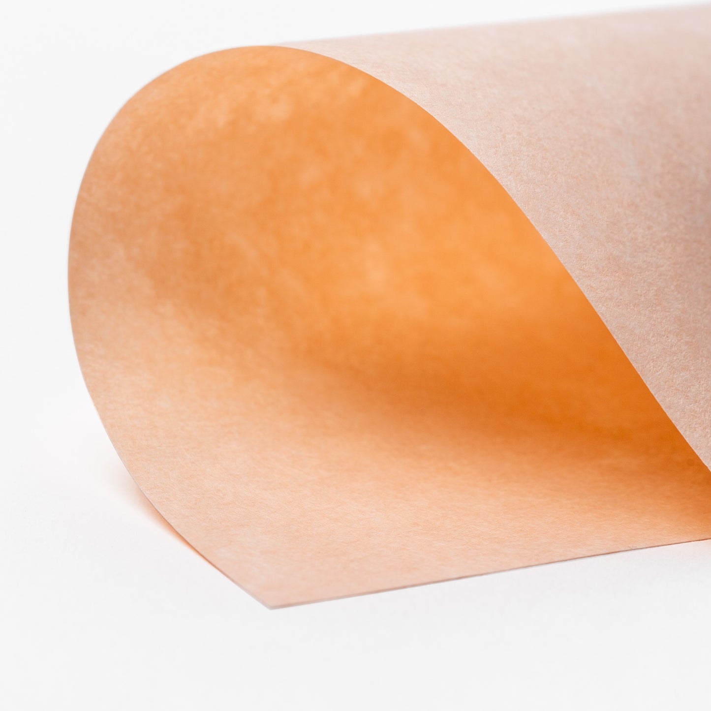 Salmon Parchment 8x10 Journal