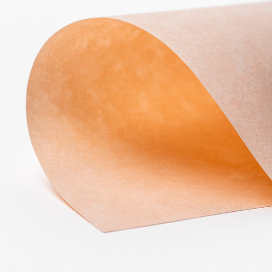 Salmon Parchment 8x10 Journal