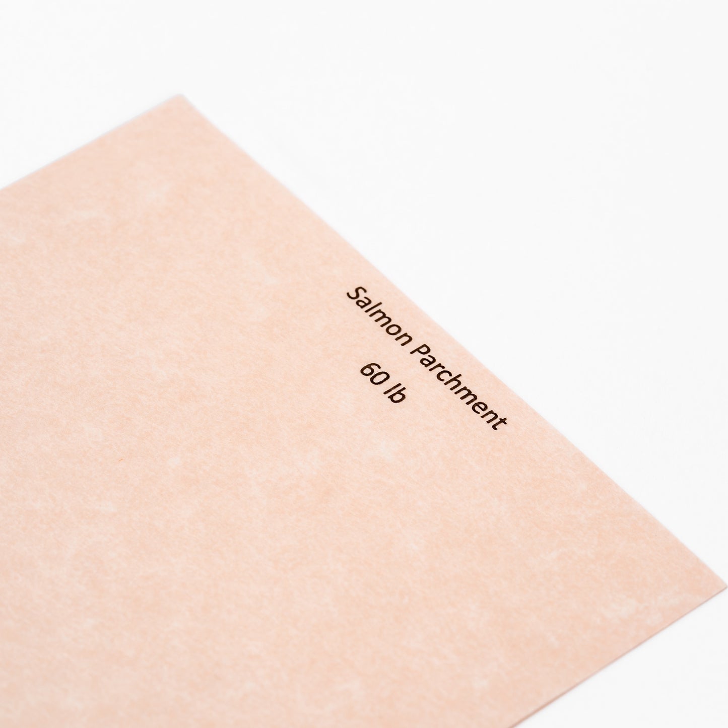 Salmon Parchment 8x10 Journal